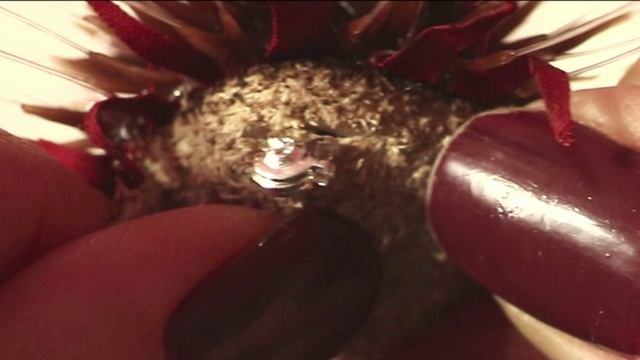 Красный одуванчик на классической застёжке.