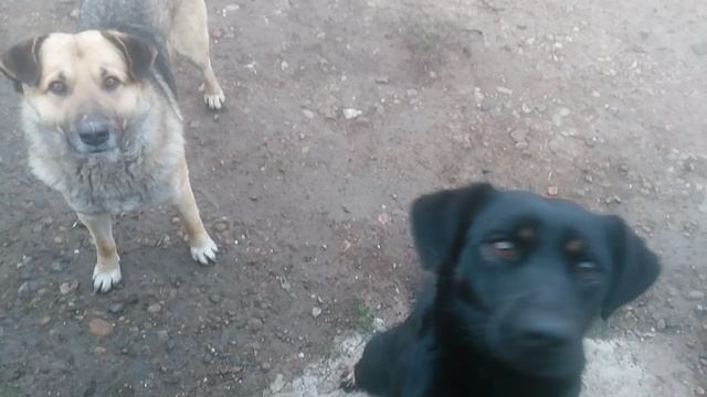 VID_20250311_070728