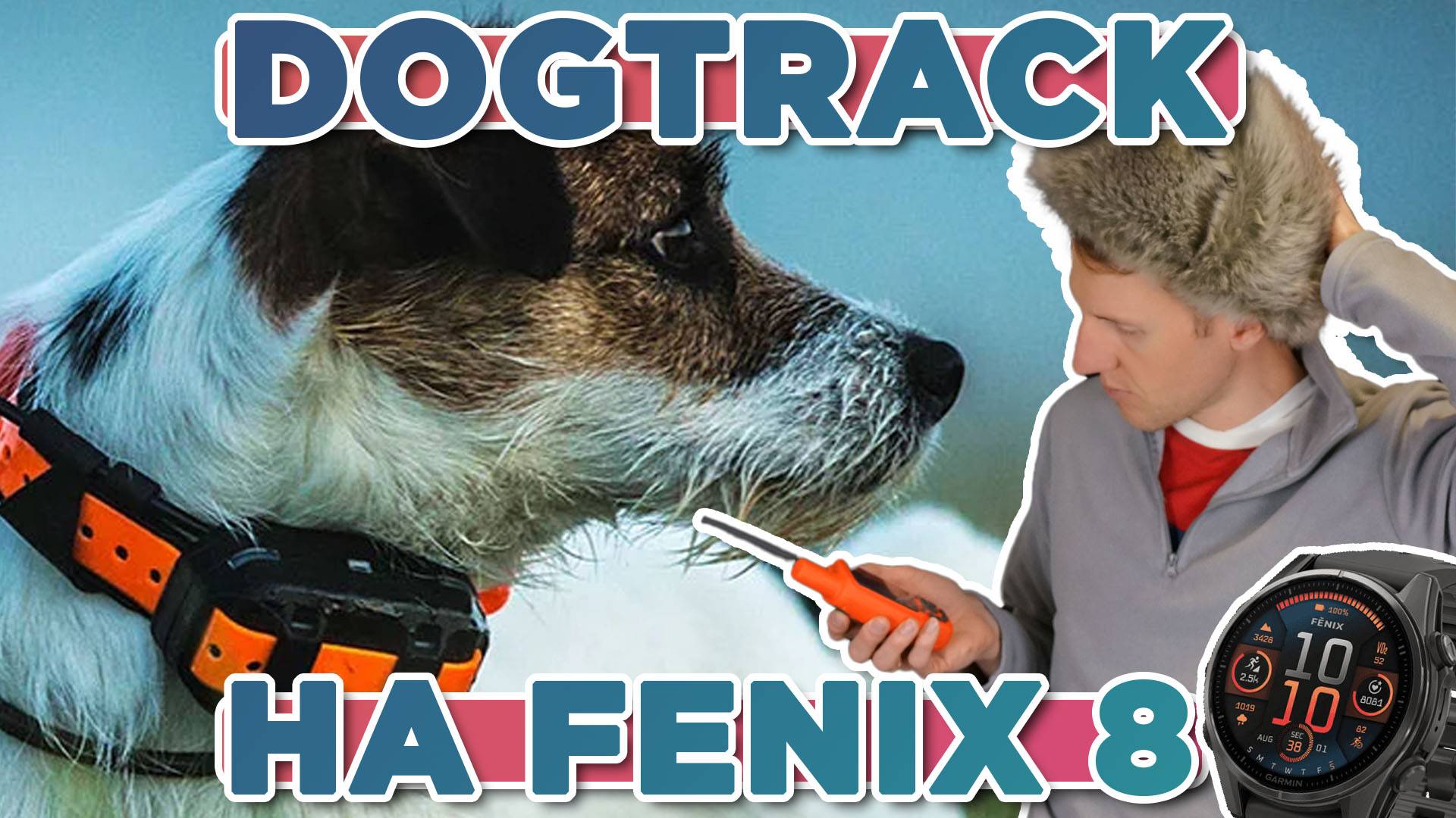 DogTrack на часах Garmin Fenix 8 как настроить дог трек на навигаторе Alpha 100 200 300
