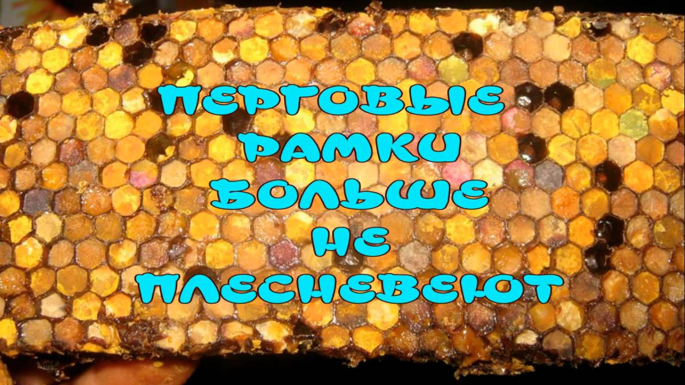 ПЕРГОВЫЕ РАМКИ БОЛЬШЕ НЕ ПЛЕСНЕВЕЮТ. КАК СОХРАНИТЬ ПЕРГОВЫЕ РАМКИ ДО ВЕСНЫ.