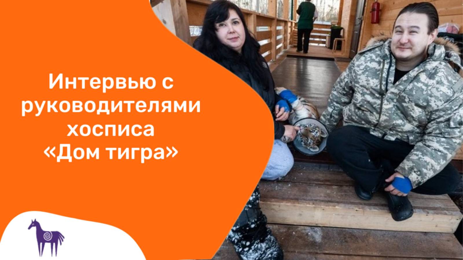 Интервью с руководителями хосписа "Дом тигра"