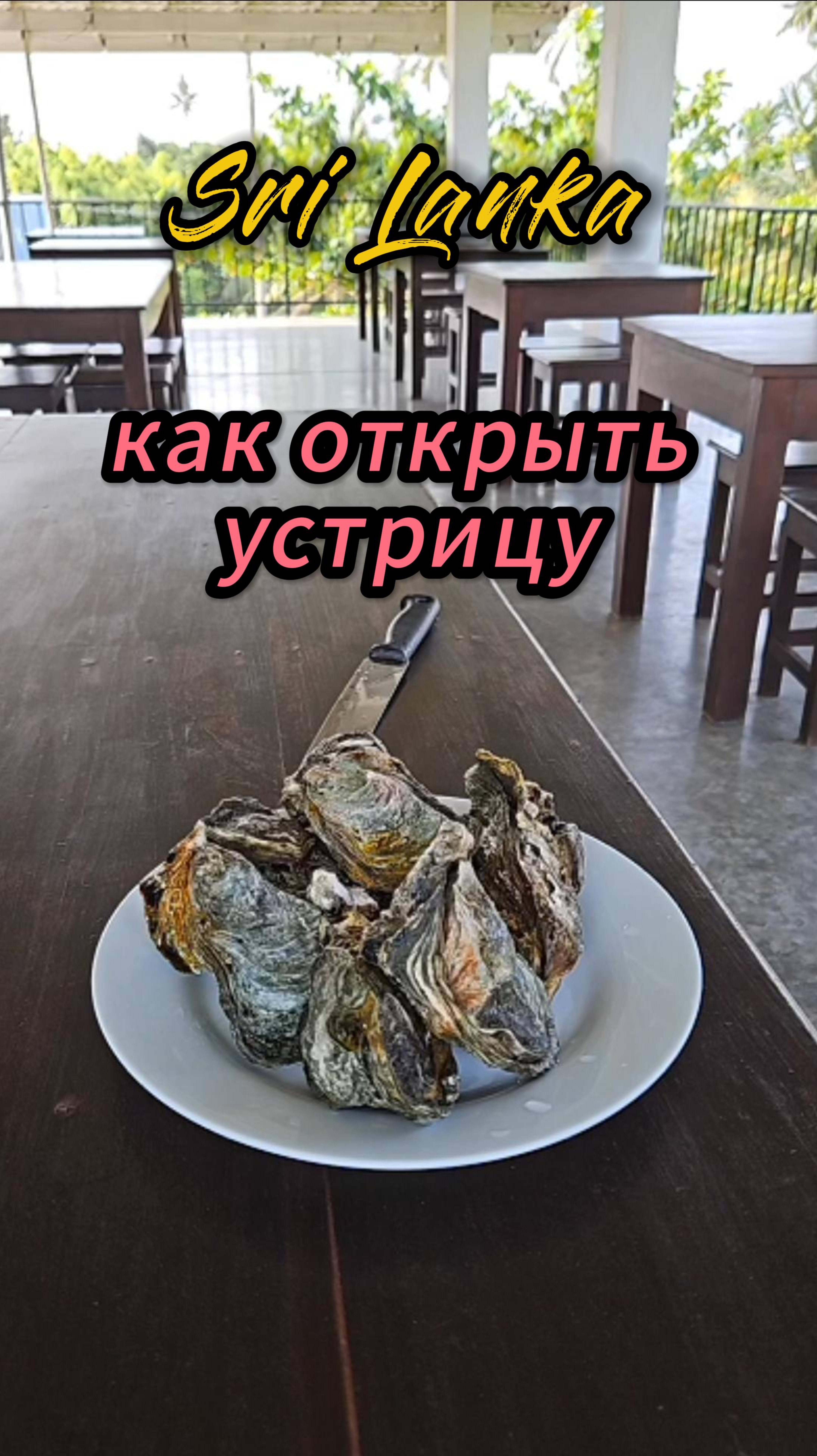 Как чистить устрицы
Как открыть раковину устрицы