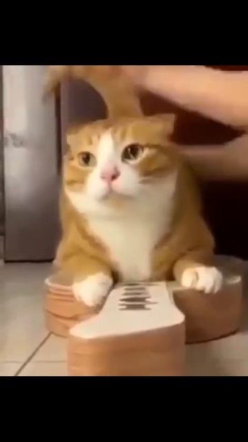 А теперь соло!