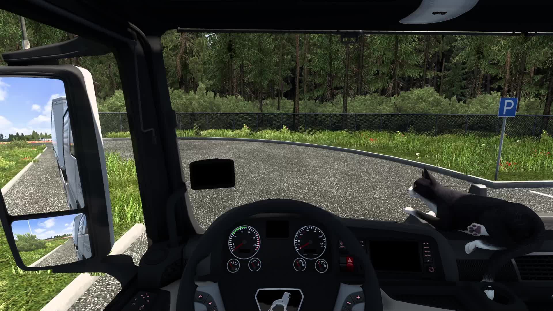 Euro Truck Simulator 2 . Отвозим грузы по России!