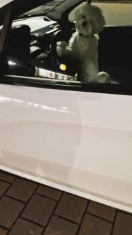 нам надо торопиться