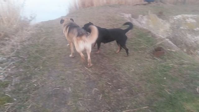 VID_20250310_181428