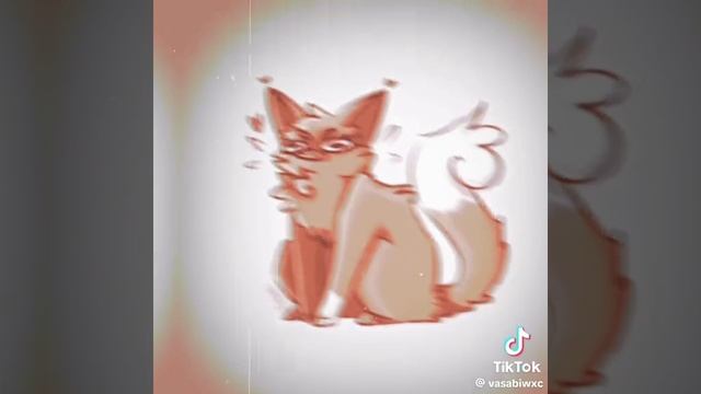 •Коты воители•