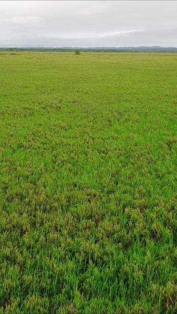 Не много о Камчатке😉😊😋