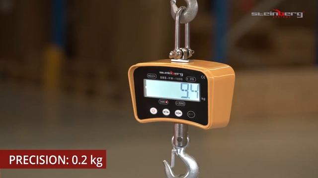 Crane Scale Steinberg Systems SBS-KW-1000Y | Product presentation