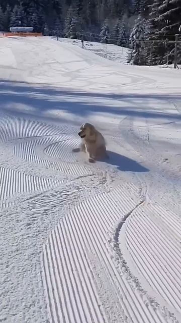 Эх Зима😁