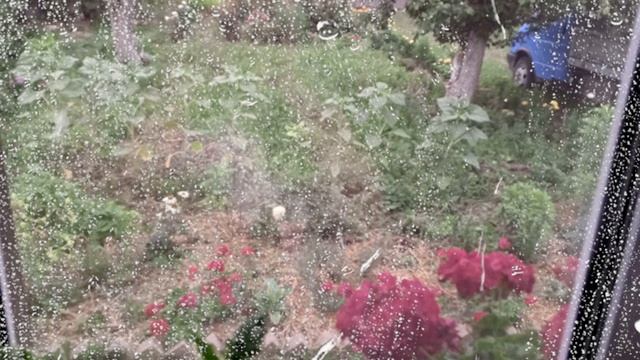 видео дождь