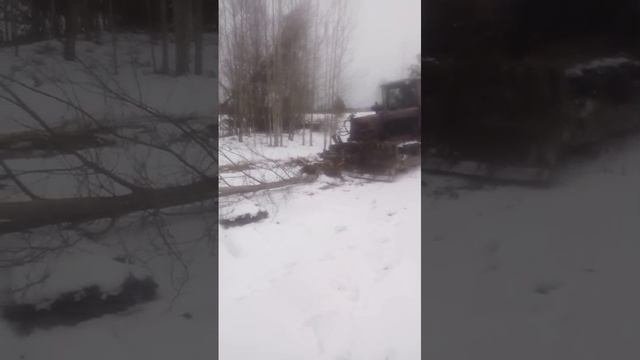 трактор дт 75
