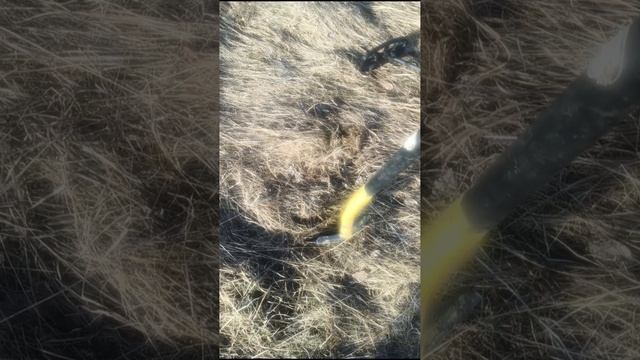 Езжай на коп говорили они, ага