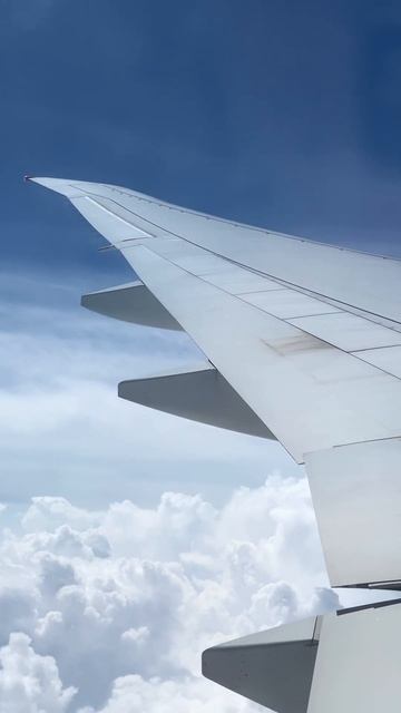 777 wing #shorts #boeing #flight