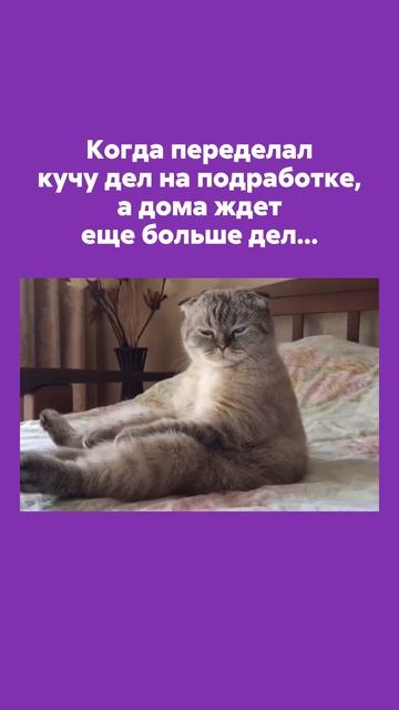 С меня хватит