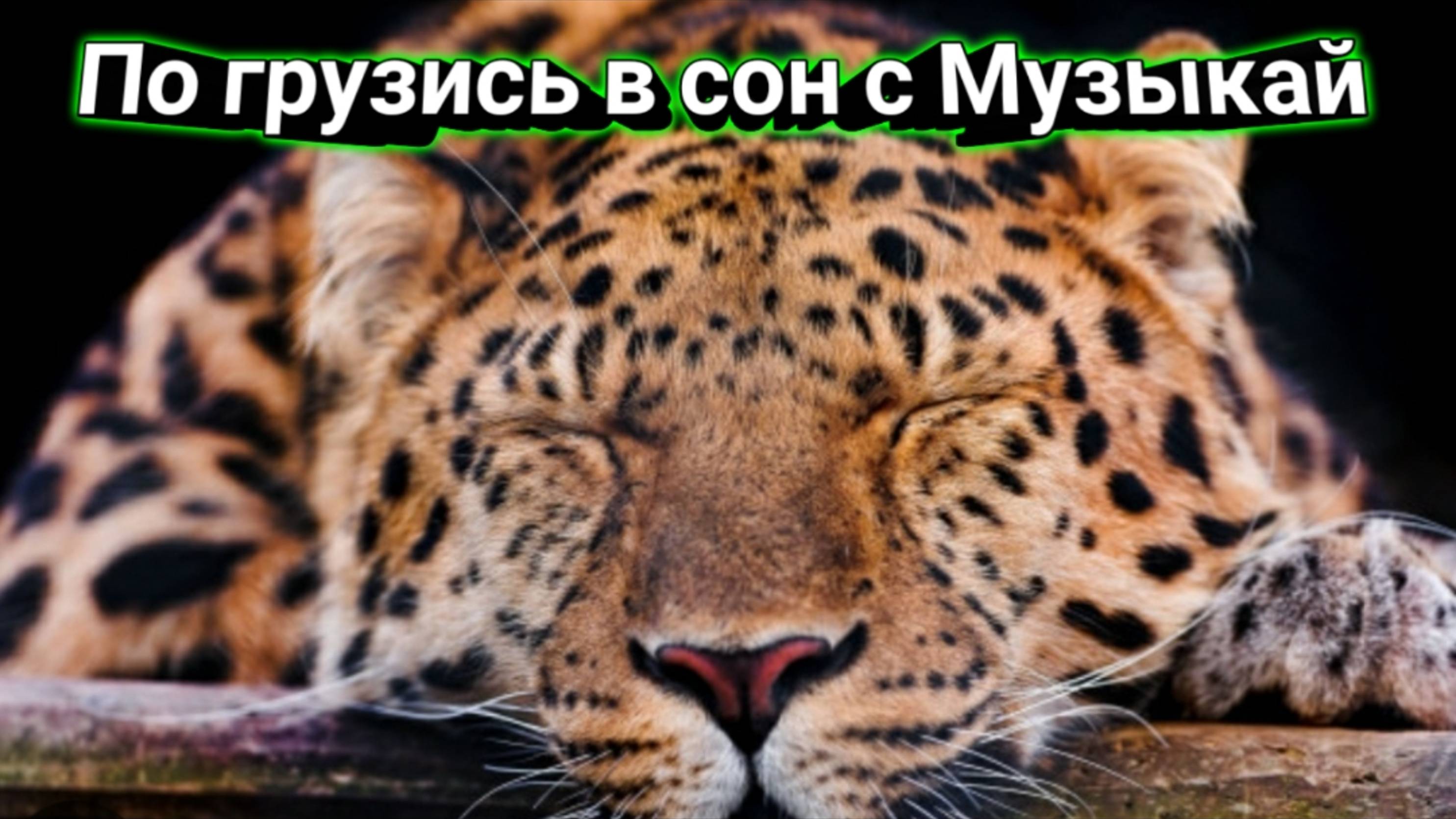 Музыка для сна / спокойная музыка без слов