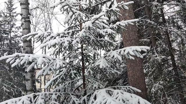 Аллея бывших малолетних узников фашистских концлагерей в Сквере Победы, Новосибирск. О евронацистах
