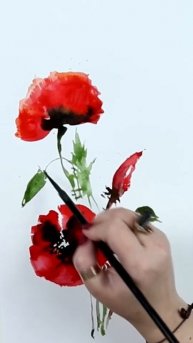 Рисуем акварельные маки с Дианой Горбач #акварель #акварельнаяживопись