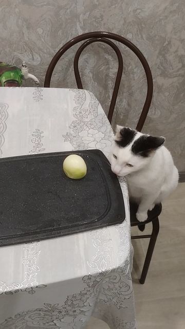 Лук