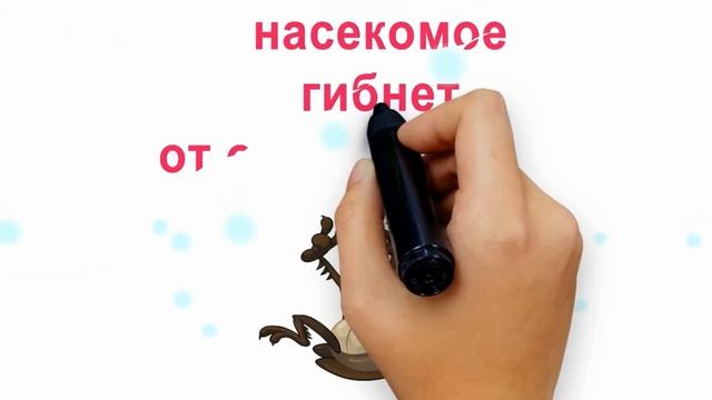 ЭКОДУСТ средство защиты от насекомых