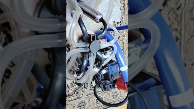 обзор доильного аппарата сухого типа виттала
