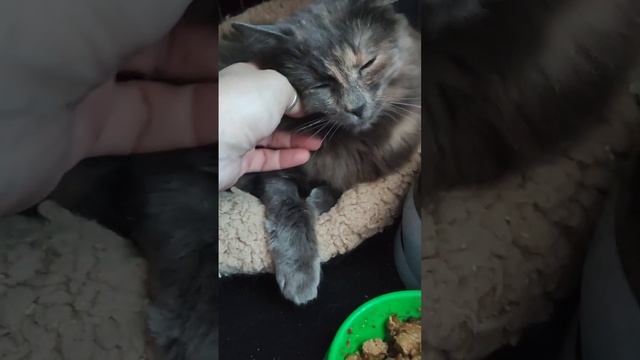 1000068936.mp4