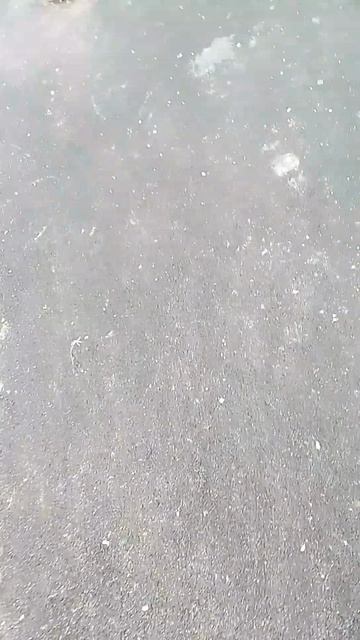 Женя Билан аморе море гудбай