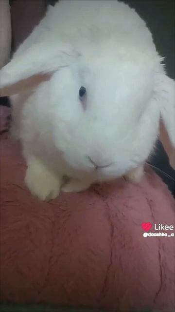 а,ты не ошибся?..😳