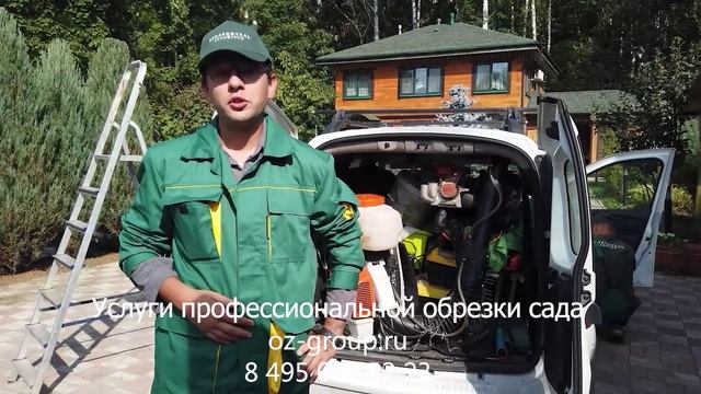 Услуги профессиональной обрезки сада на даче. Выезд Агрономов по Москве и области. Звоните сейчас!