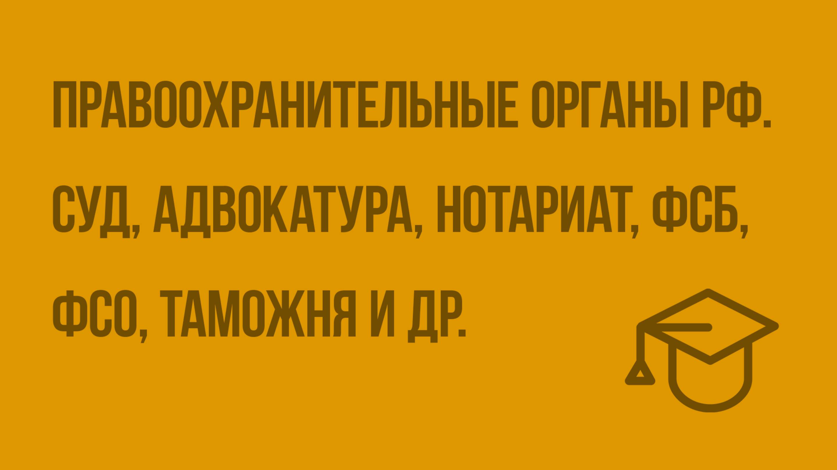 Правоохранительные органы РФ. Суд, адвокатура, нотариат, ФСБ, ФСО, таможня и др. Видеоурок