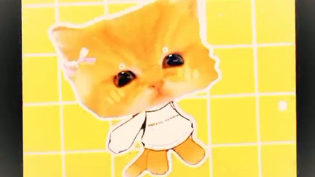 😘Котик😘