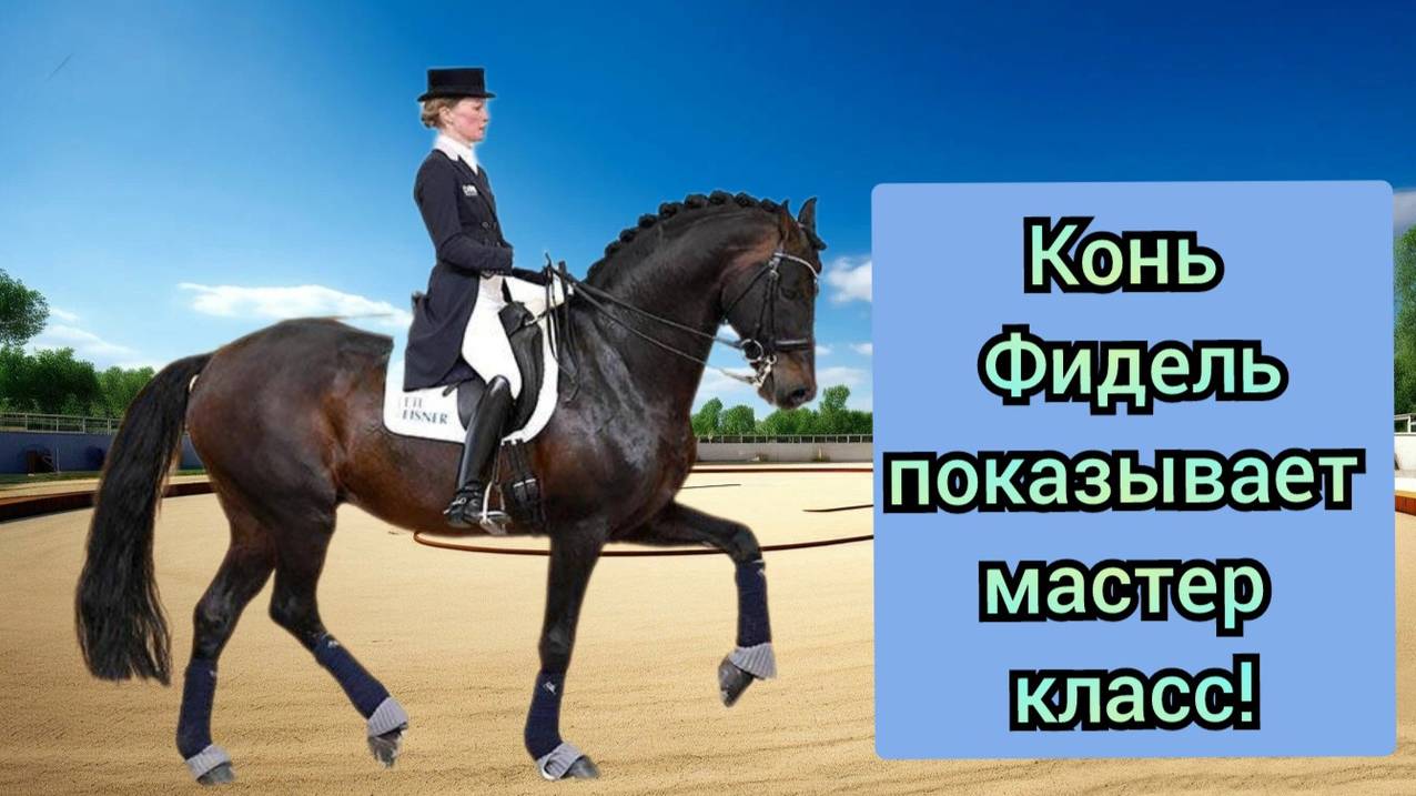 Настоящая выездка лошади !