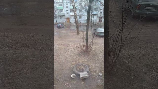 ЛЮБЛЮ КОРМИТЬ ПТИЦ
