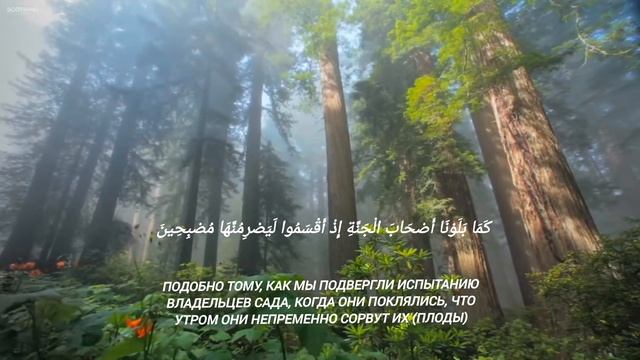 Очень красивый чтение Курана.сура: Калям. аят 1-33.чтецы Яхя Содки