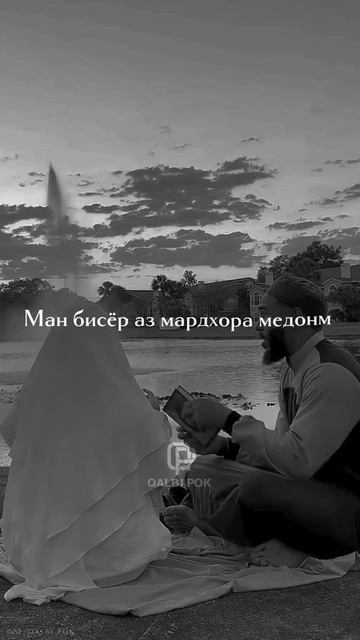 qalb1_pok_1741079516378.mp4