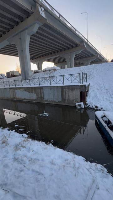 Вот так делать не надо