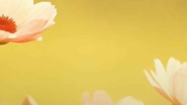 8 С женским днём вас поздравляем!