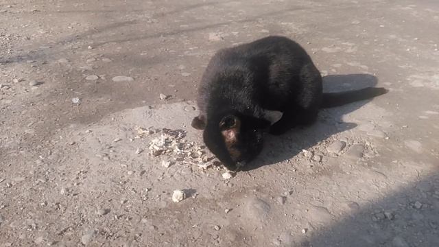 VID_20250310_160925