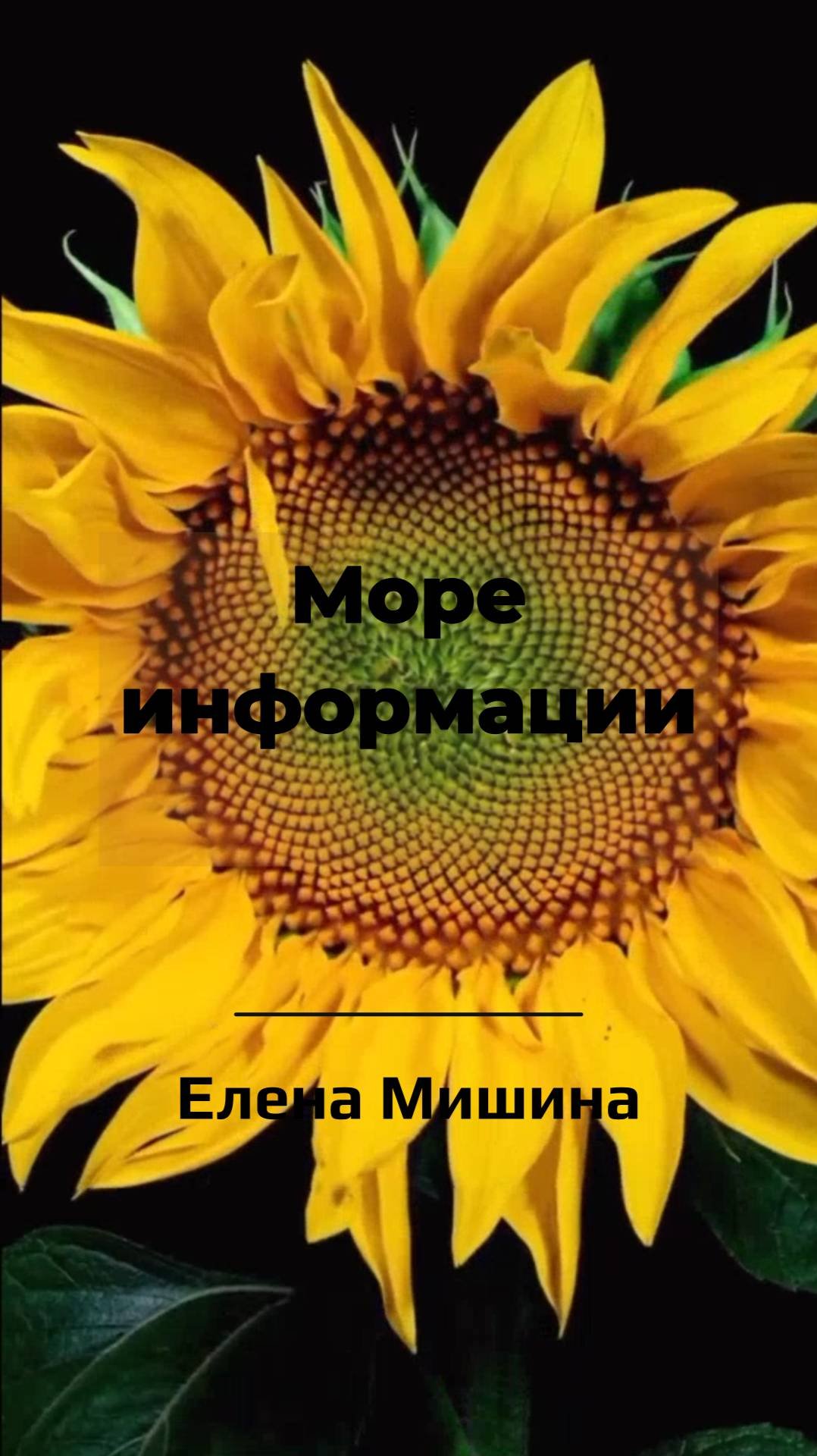 Море информации