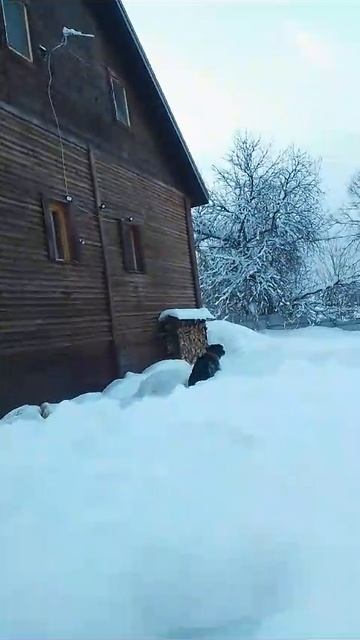 "Выступление" охранника