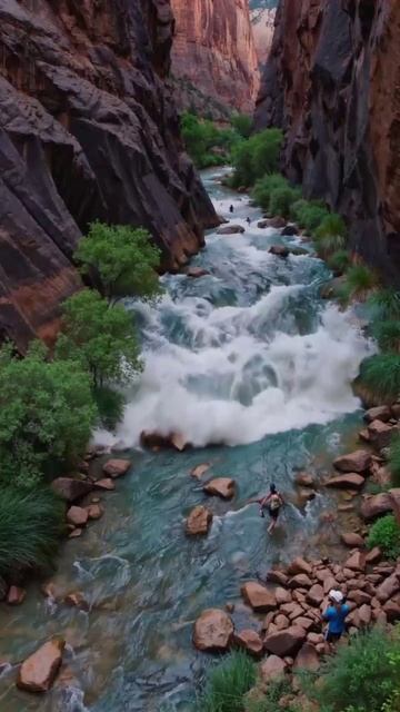 Водная стихия