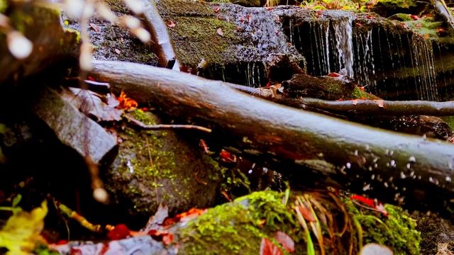 Расслабляющее видео. Струйки водопадов, шум текущей воды. Таинство природы.