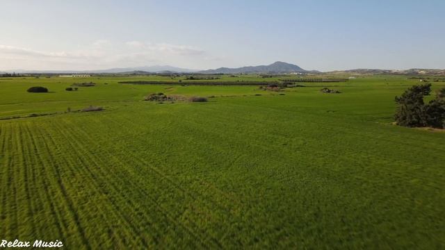 Frame Journey, Stop Overthinking, Relaxing, Deep Sleep