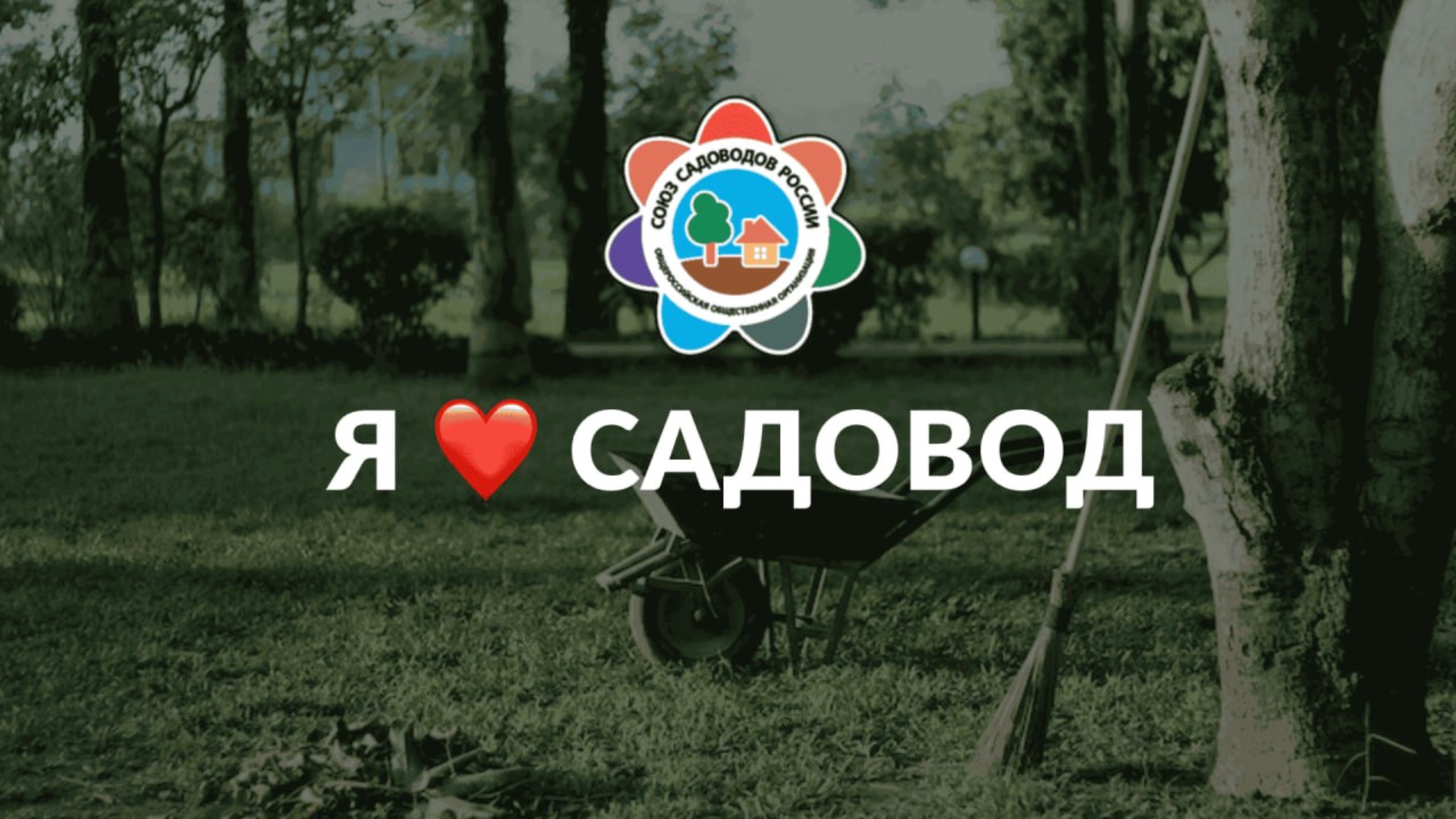 Встреча с Виталием Караевым, руководителем СНТ «Энергетик», и Екатериной Трушковой, председателем Чу