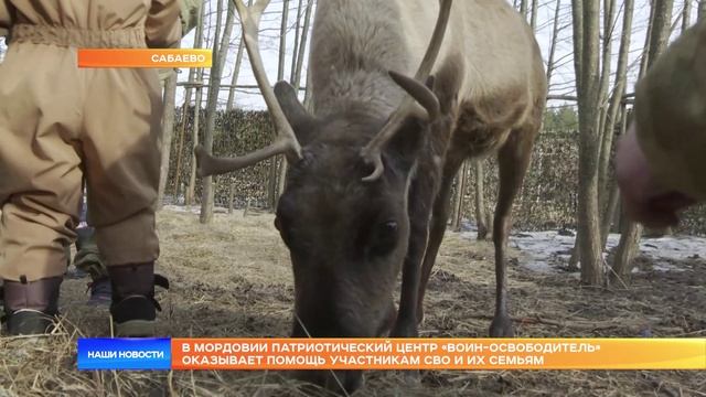 В Мордовии патриотический центр «Воин-Освободитель» оказывает помощь участникам СВО и их семьям