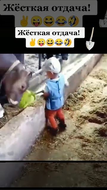 прилетело по рогам