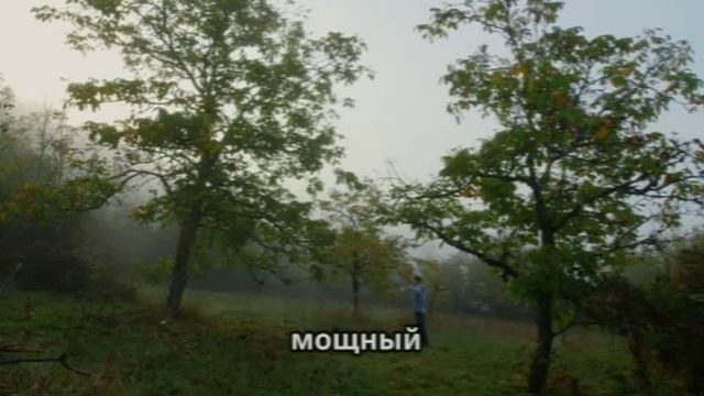 Утро миллионера: ритуалы для успеха