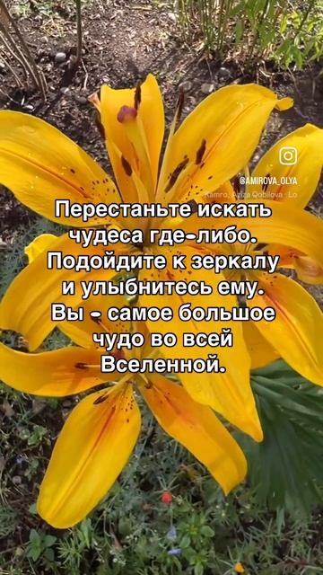 Слова со смыслом