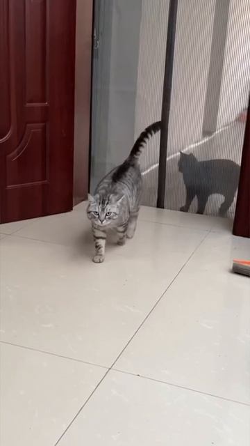 1000076252.mp4