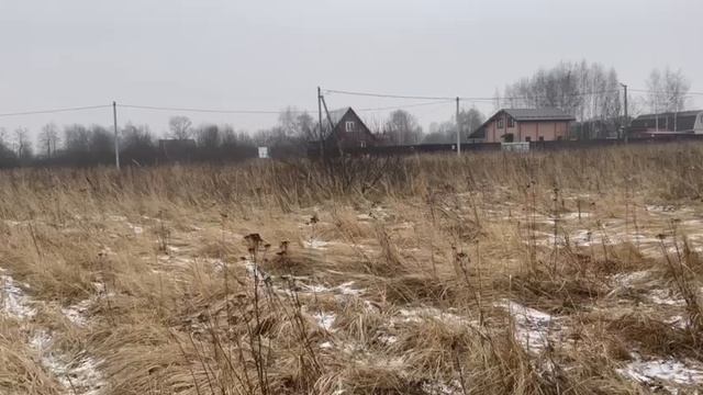 д. Гостилово, ул. Садовая